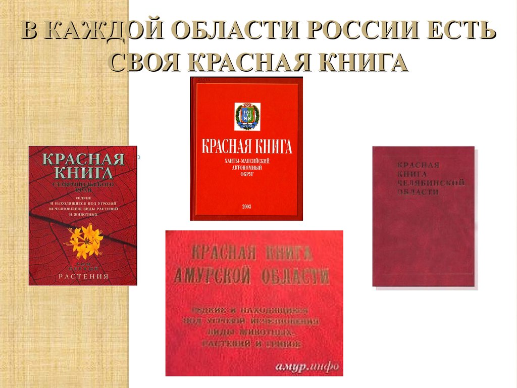 Красная книга россии окружающий мир 4: Проект «Красная книга России» для 4  класса — Школа №96 г. Екатеринбурга